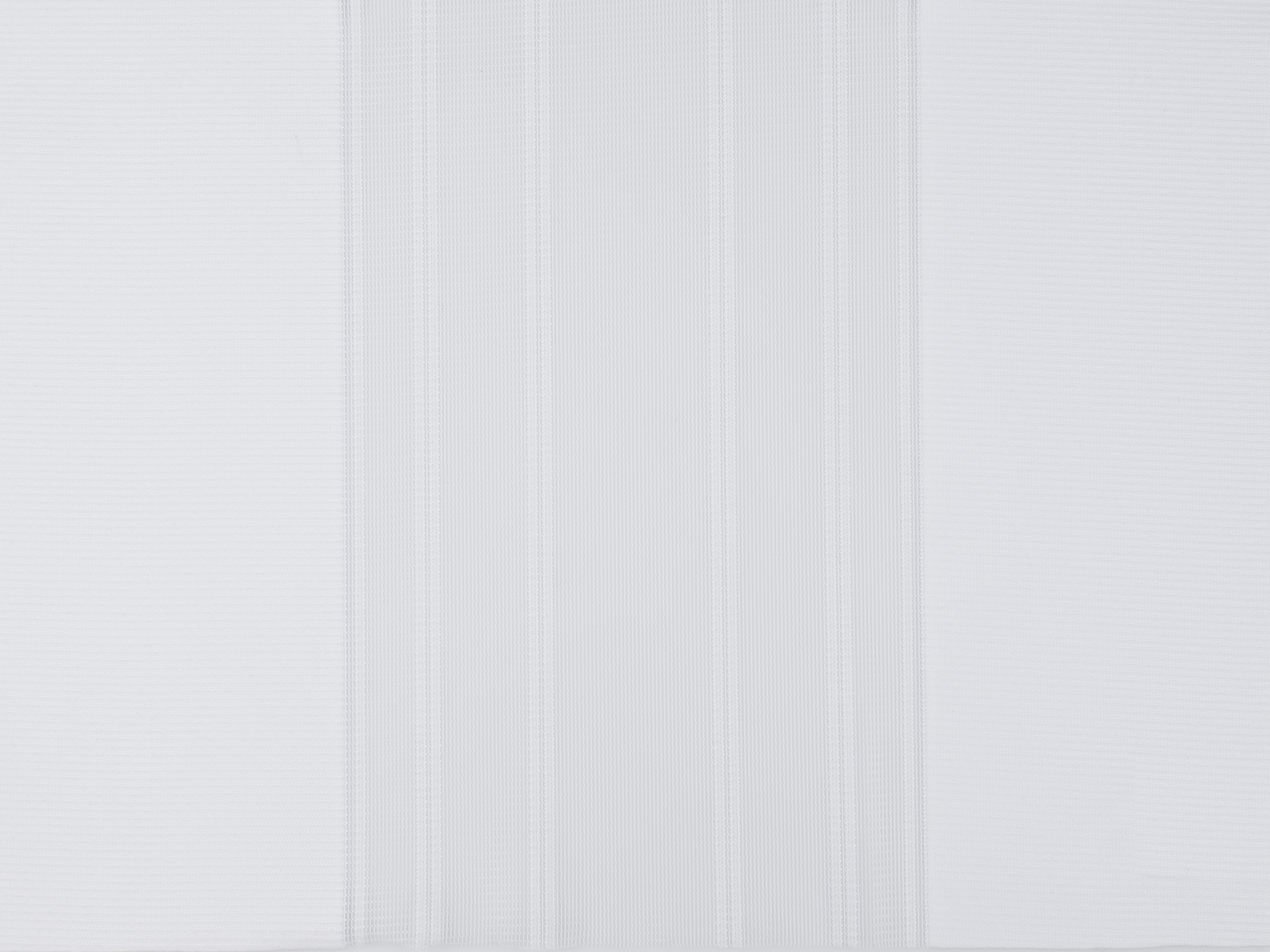 Linea 01
